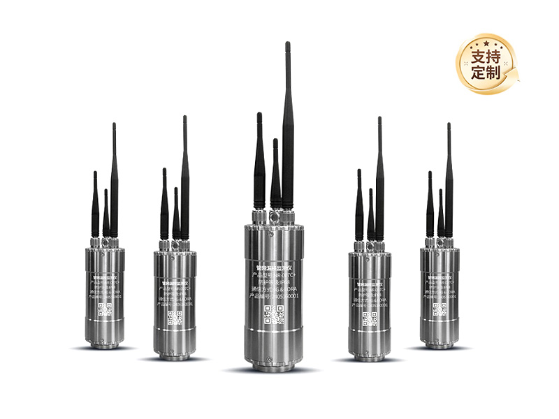 普奇管網在線漏損監(jiān)測儀